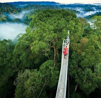 monteverde zip-lining, monteverde views, mirador monteverde,