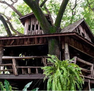 Off grid tree houses