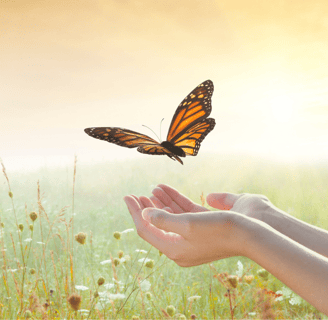 Releasing Butterfly