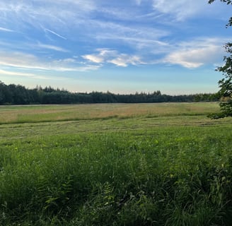 Fietsroute Lage Vuursche