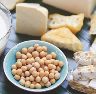 Alimentos probióticos