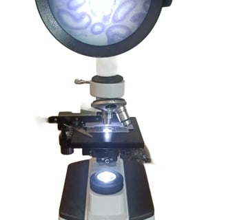 #PROJECTION MICROSCOPE