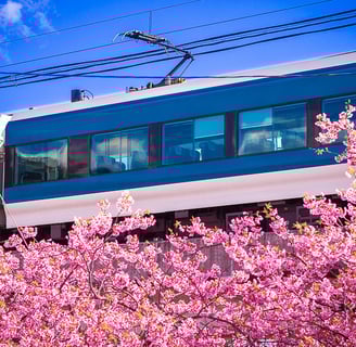 voyager facilement au japon en 2025 conseils astuces et retour d'experiencessans stress,