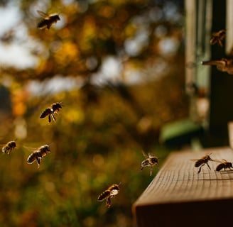 a bunch of bees flying in the air