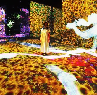 "Dreamscapes" de TeamLab