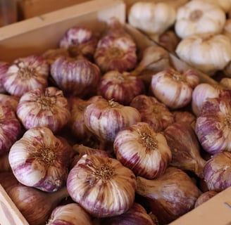 recette ail violet drome