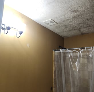 mold growth in bathroom