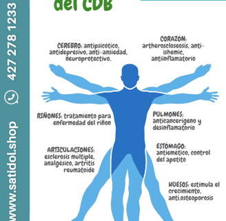 sistema canabinoide-cbd-satidol