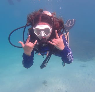 Bogani Explorer