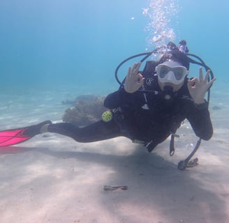 Bogani Explorer