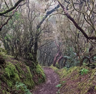 Parco Naturale di Anaga, a Tenerife