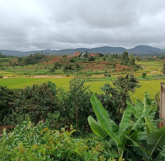 campi di risaie in Madagscar