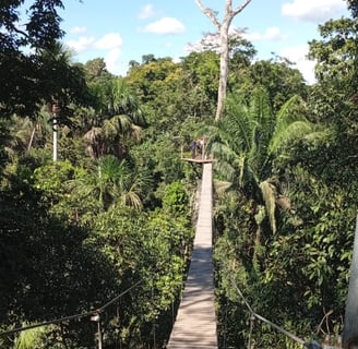 canopy walk e zip-line nella tambopata national reserve