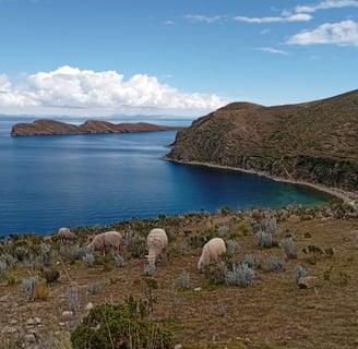 Visitare Isla del sol in giornata