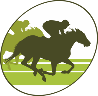 Running one's race of life