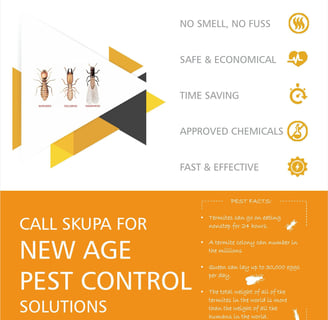 Termite Control Services in Mumbai by Skupa Pest Control – Expert Termite Treatment for Homes and Of