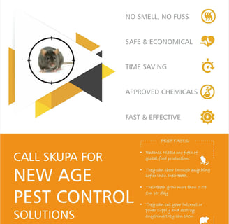 Rodent Control Services in Mumbai by Skupa Pest Control – Reliable Rat and Mouse Removal Solutions