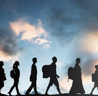 migración
