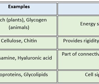 classification_carb_function