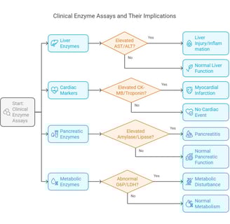 clinical enzyme assays & implication