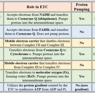 ETC components