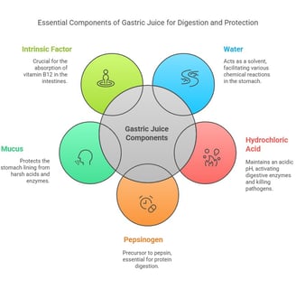 Gastric juice components
