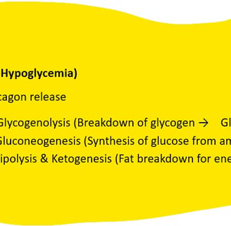 Fasting or Starvation (Hypoglycemia)