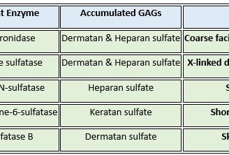 inborn errors of metabolism_MPS