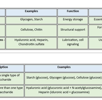 types_polysaccharides