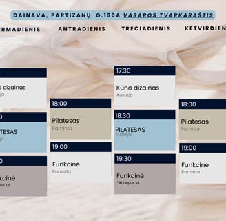 Grupinių treniruočiū vasaros tavrkarašti Dainavoje, Partizanų g.190a