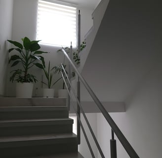 a staircase with a plant in the middle of it