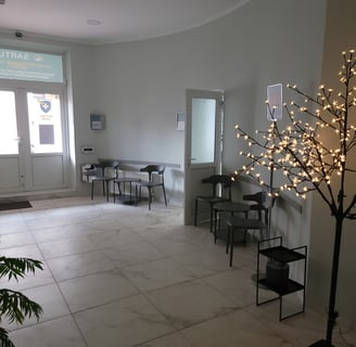 a room with a tree and a plant in the middle