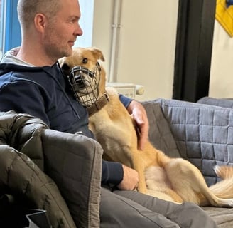 Hund mit Maulkorb kuschelnd auf Sofa