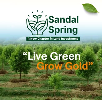 a group of trees with the words live green and grow gold
