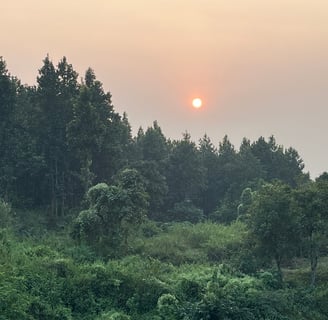 Purulia