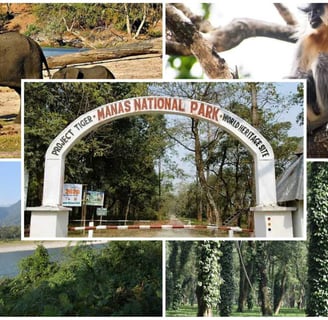 Manas National Park