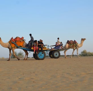 Sam Sand Dunes