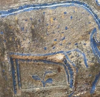 Deer, Pakhi Pahar