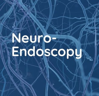 image neuro-endoscopy