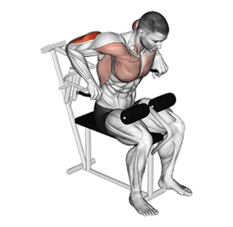 triceps maquina