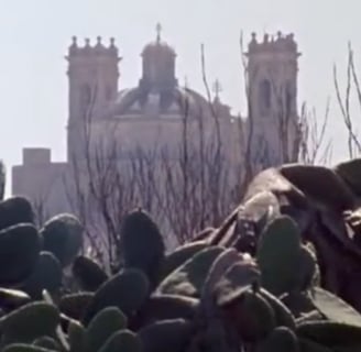 A church in the distance framed by Prickly Pear leaves in the foreground.