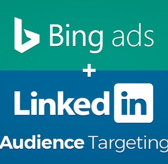 LinkedIn audience targeting