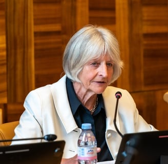 Anne Brasseur, Chairperson of the Human Rights Hub and Board Member of FNF