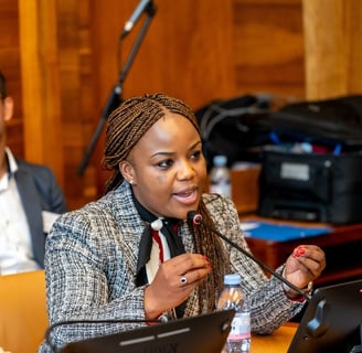 The lawyer and human rights defender Fadzayi Mahere