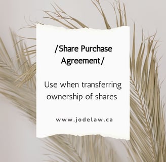 Share Purchase Agreeement, I want to sell my business in Ontario, Business lawyers