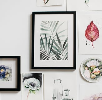 a wall of various framed pictures of flowers and plants