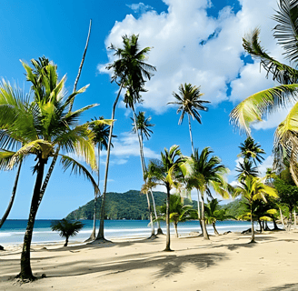 The beautiful Maracas beach