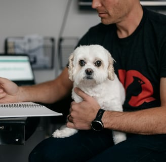 Working with dog
