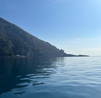 Vista di Punta Chiappa con mare e natura