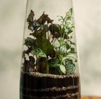 a glass jar with a plant in it